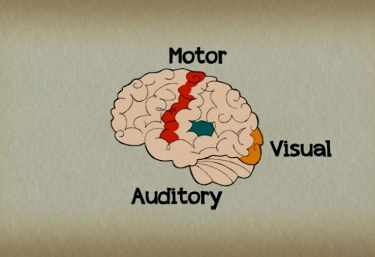 las capacidades del cerebro que se activan al tocar música