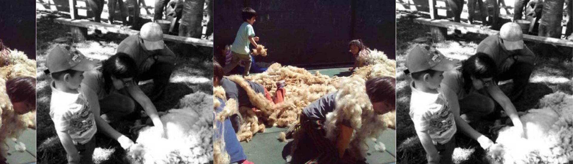Niños y niñas en proceso de fabricación de lana