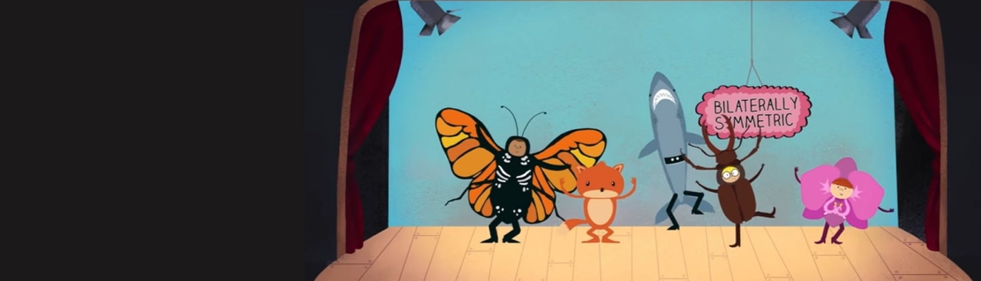 En la imagen se ve la ilustración de un teatro con muchos animales que poseen simetría bilateral, como mariposas y tiburones. Es una parte del video de la charla TED.