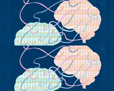 Ilustración del cerebro con conexiones neuronales