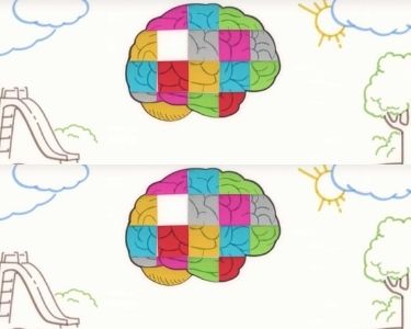 Ilustración del cerebro construyendo conocimientos