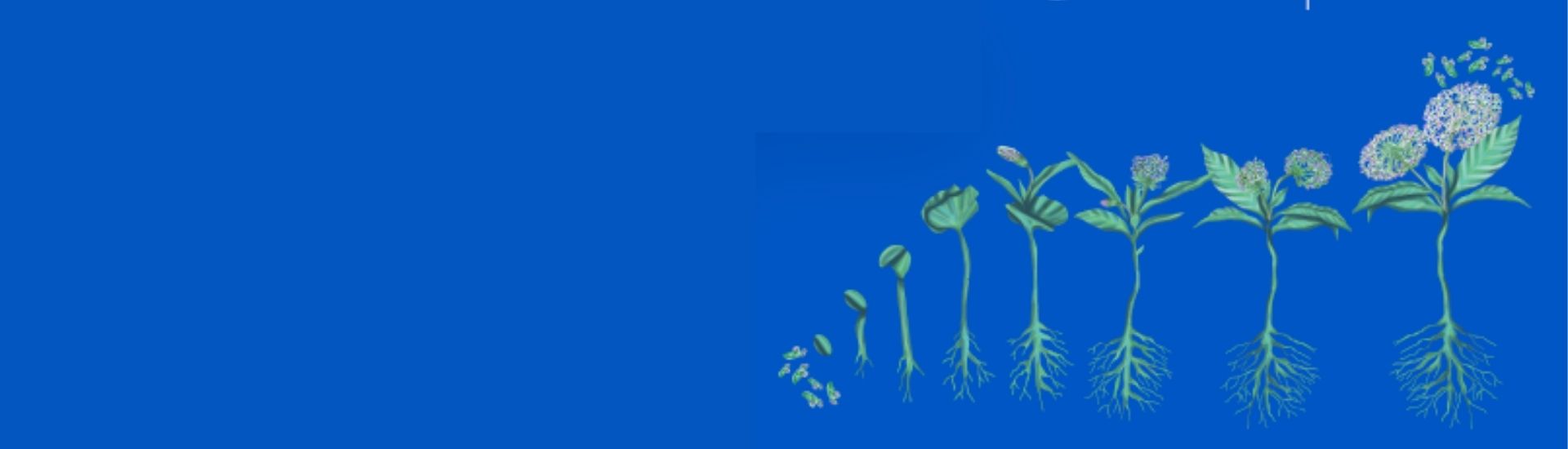 Ilustración de una planta germinando, que refleja las propuestas de la iniciativa de Tenemos Que Hablar de Educación