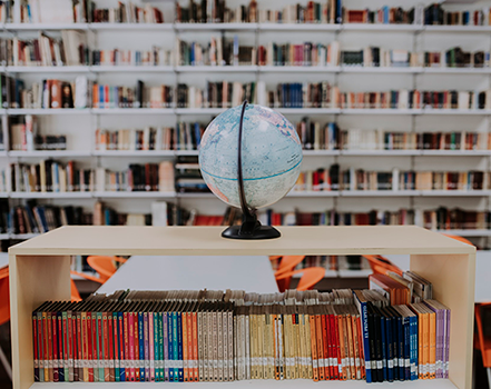 Áreas de investigación